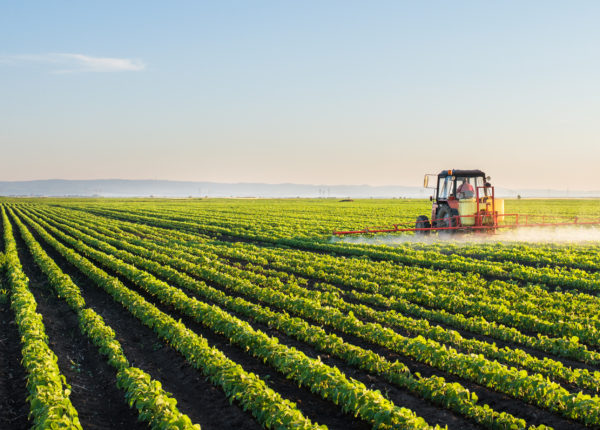 Tractor watering crops on a farm