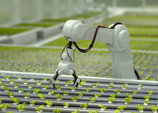 Robotic arm handling plants on assembly line