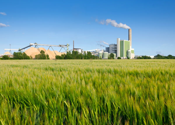 Factory surrounded by long grass